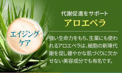 クリスチャンダイア 成分 アロエベラ